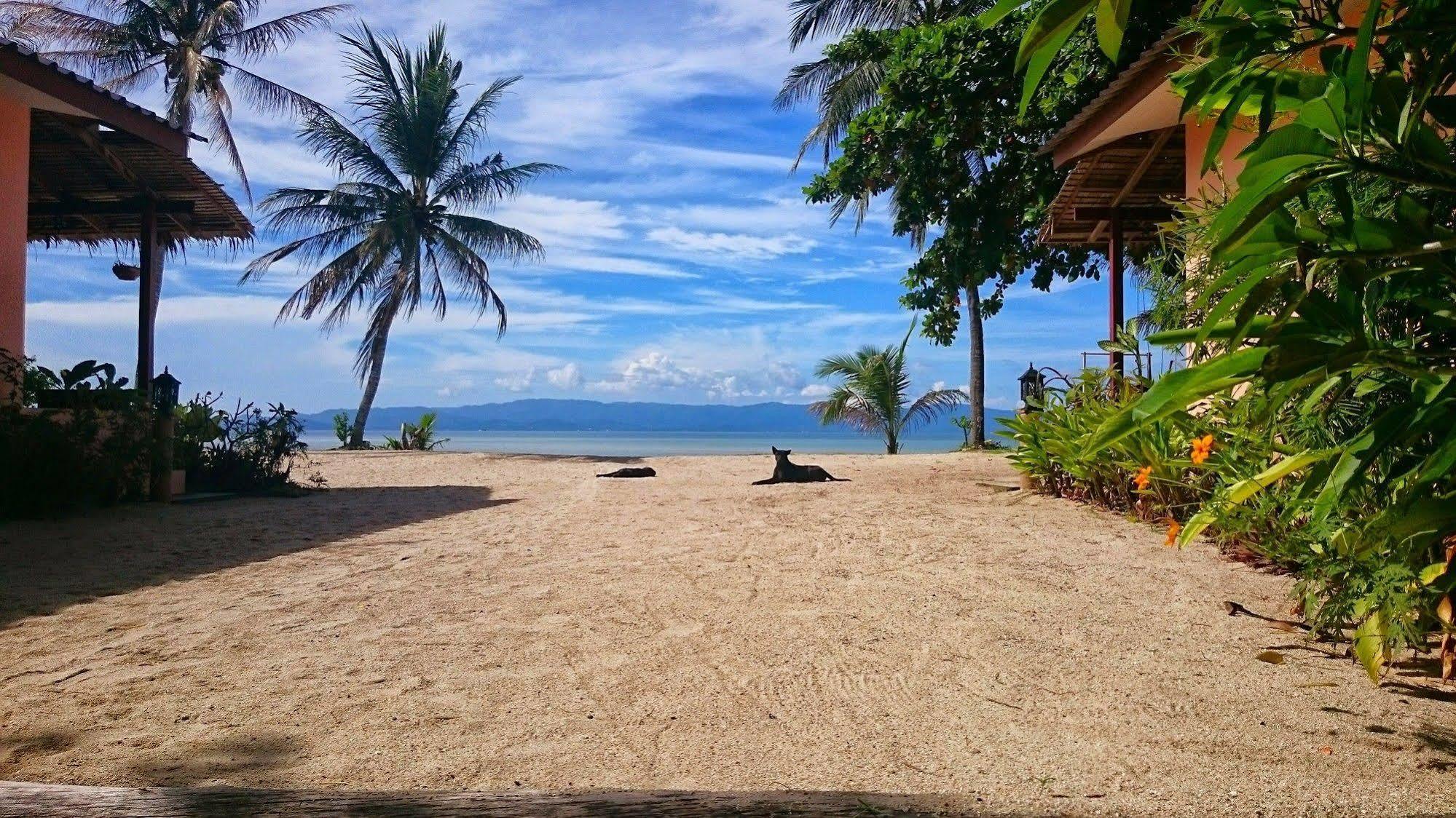 Papillon Bungalows Baan Tai Exterior photo